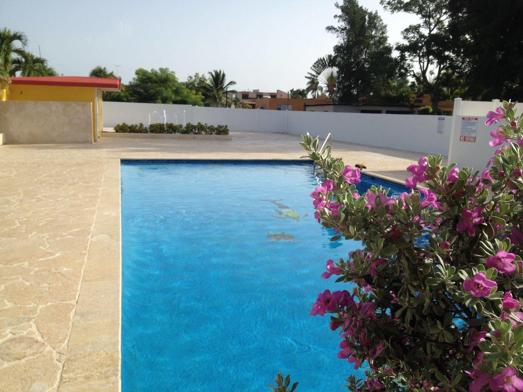 Arecibo Inn מראה חיצוני תמונה