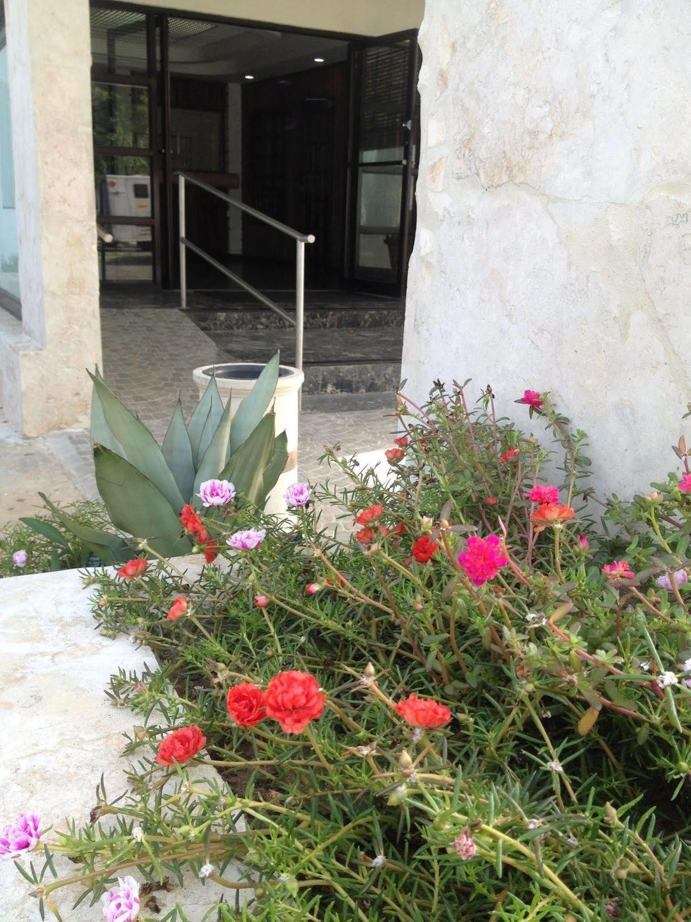Arecibo Inn מראה חיצוני תמונה